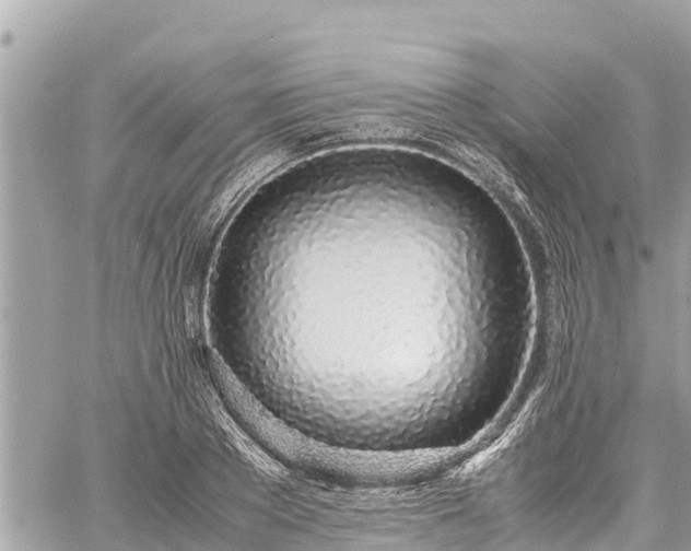 X0000060770889200511141254