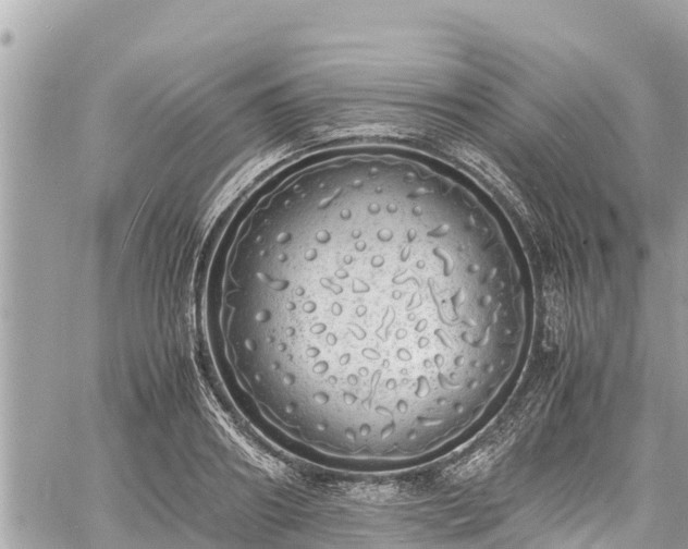 X0000060770890200511141254