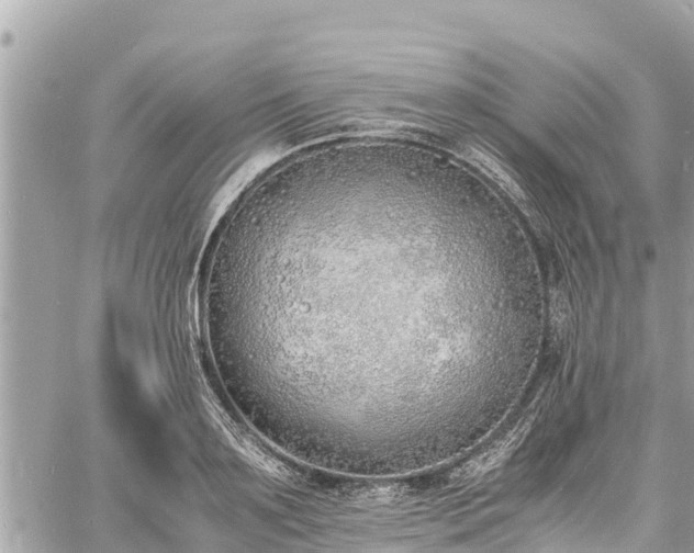 X0000060770891200511141254