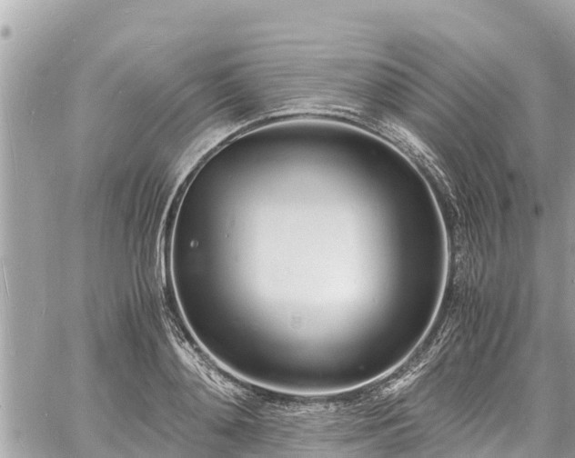 X0000060770892200511141254