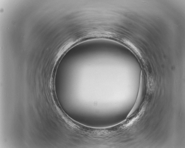 X0000060770893200511141254