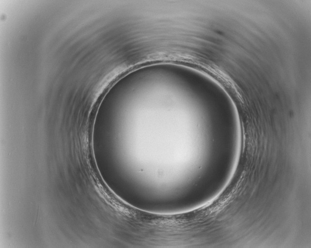 X0000060770896200511141254