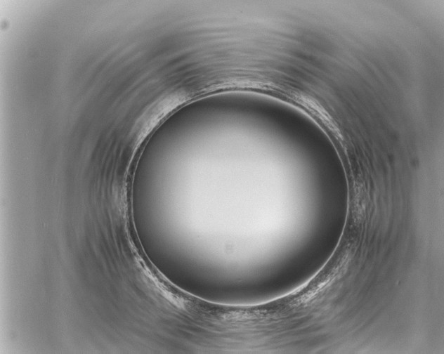 X0000060770898200511141254