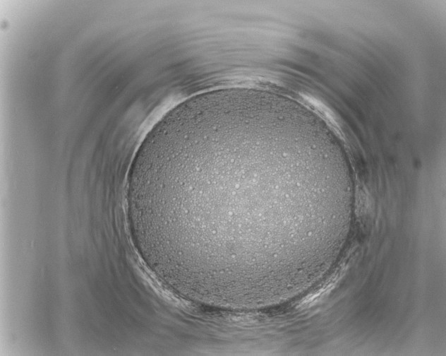 X0000060770899200511141254