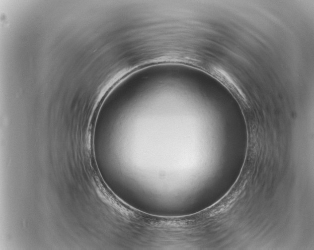 X0000060770900200511141254