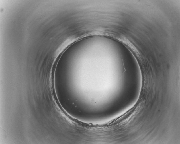 X0000060770902200511141254