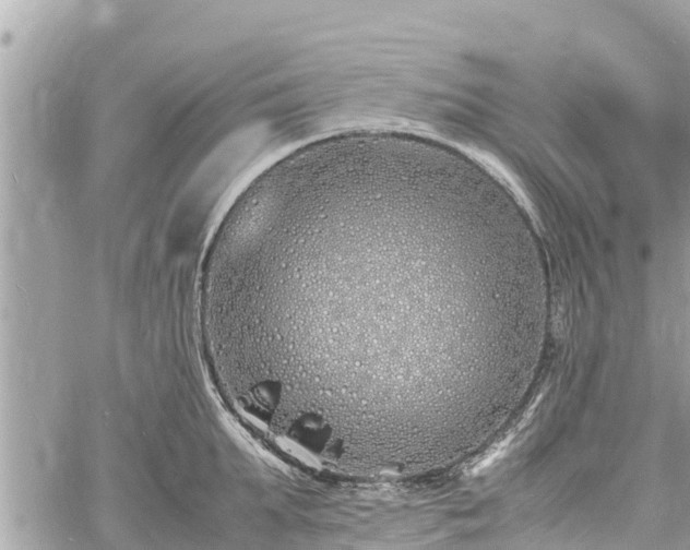 X0000060770903200511141254