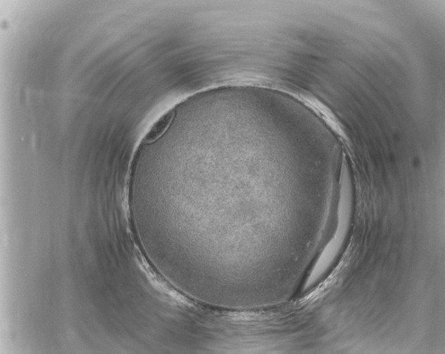 X0000060770904200511141254