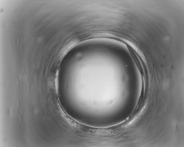 X0000060770905200511141254