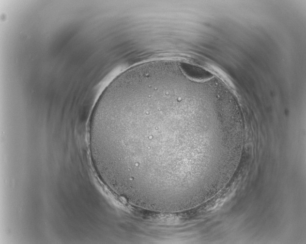 X0000060770907200511141254