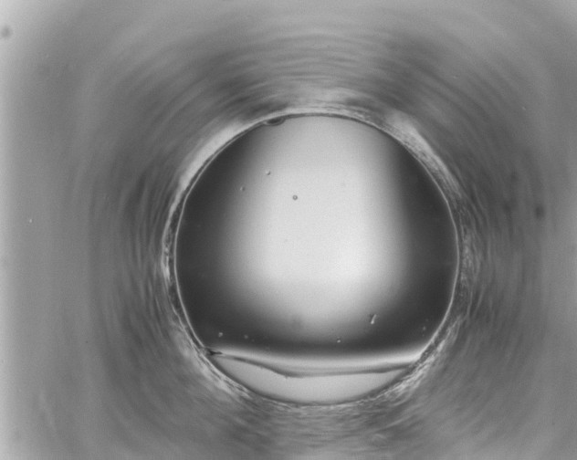 X0000060770908200511141254