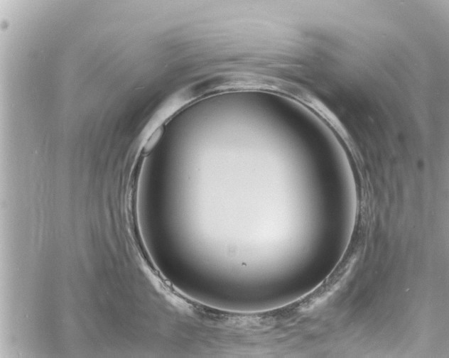 X0000060770909200511141254