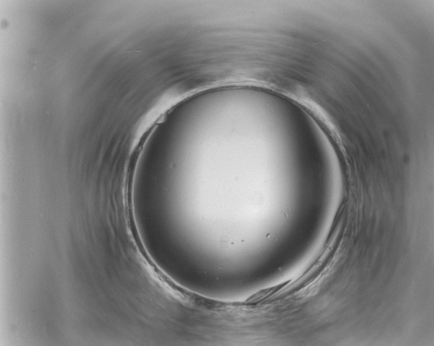 X0000060770910200511141254