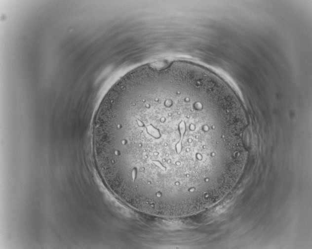 X0000060770911200511141254