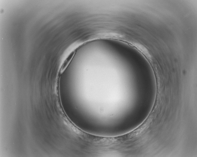 X0000060770912200511141254