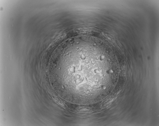 X0000060770913200511141253