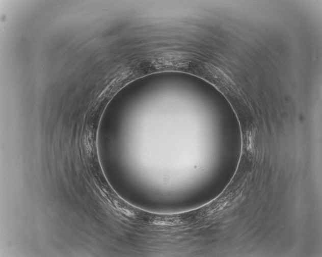 X0000060770915200511141253