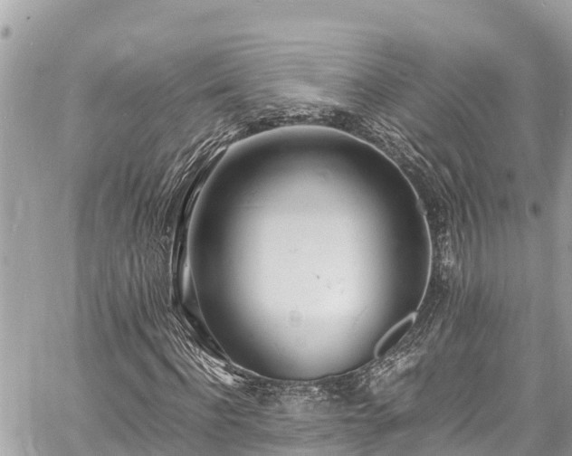 X0000060770916200511141253