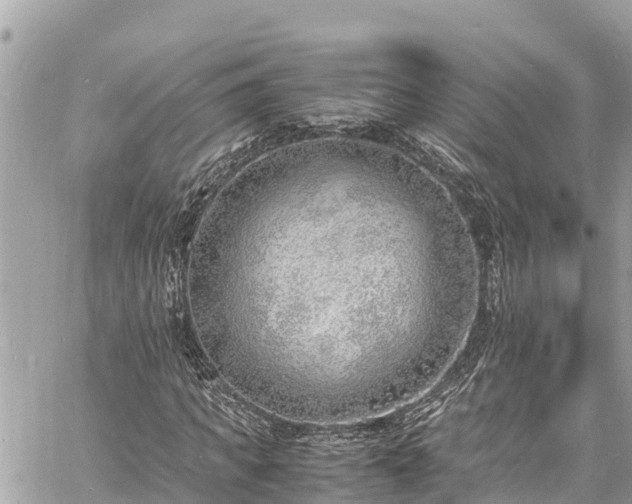 X0000060770917200511141253