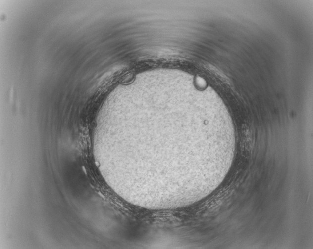 X0000060770918200511141253