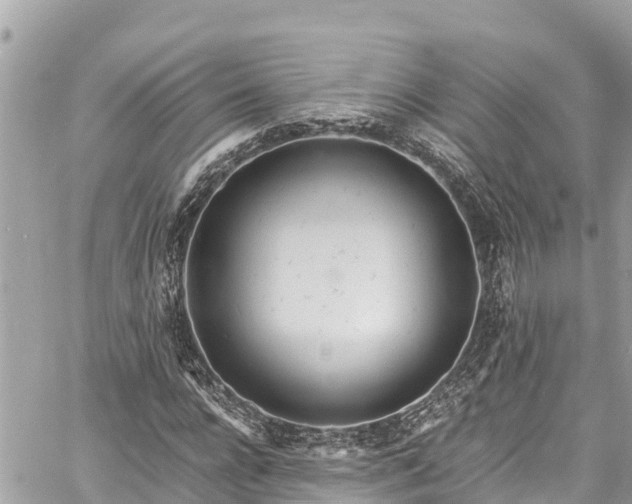 X0000060770920200511141253