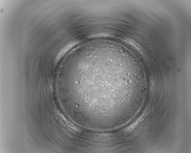 X0000060770921200511141253