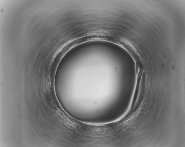 X0000060770923200511141253