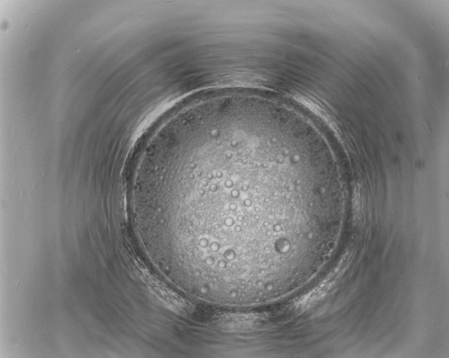 X0000060770925200511141253