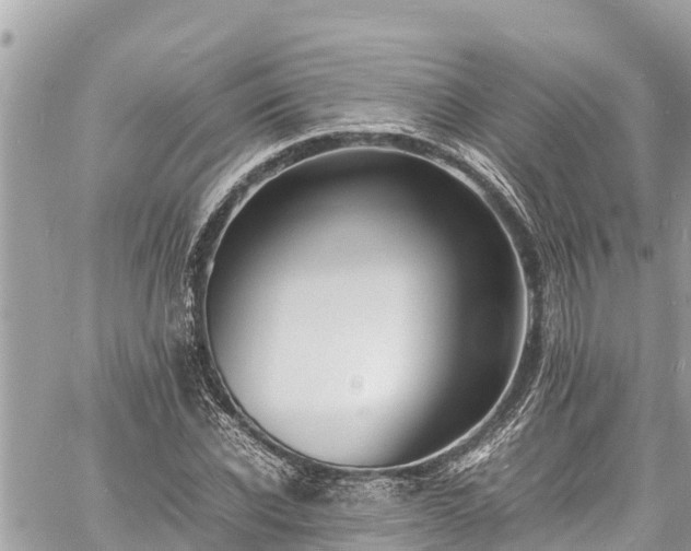 X0000060770926200511141253