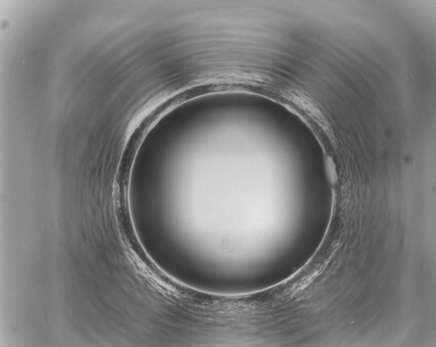 X0000060770928200511141253