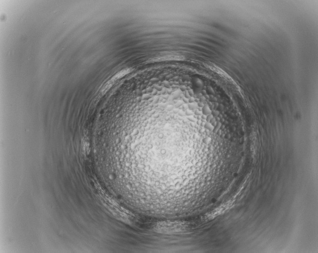 X0000060770929200511141253