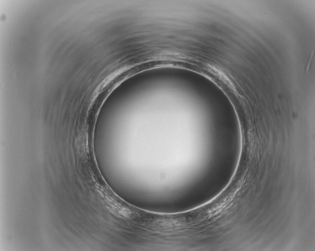 X0000060770931200511141253