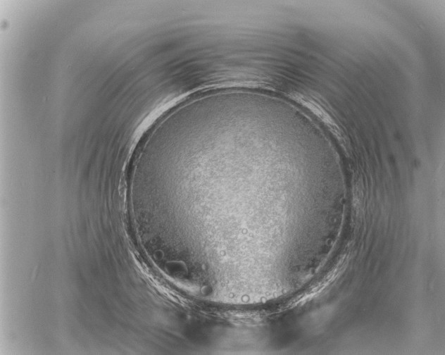 X0000060770933200511141253