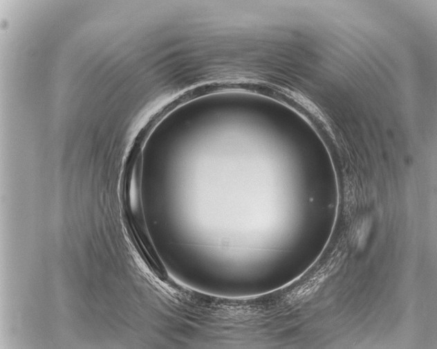 X0000060770935200511141253