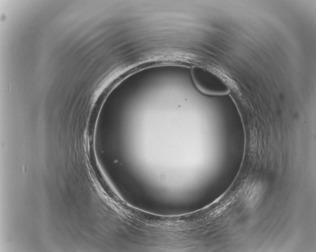 X0000060770936200511141253