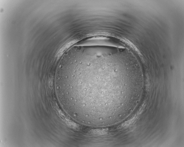 X0000060770937200511141253