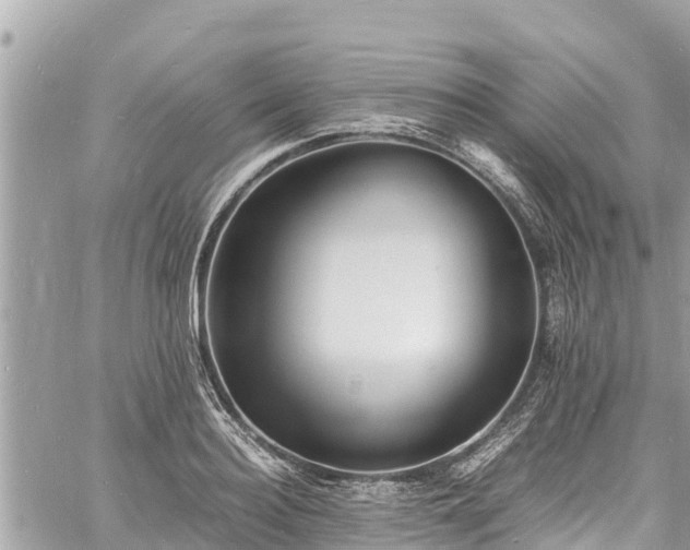 X0000060770940200511141254