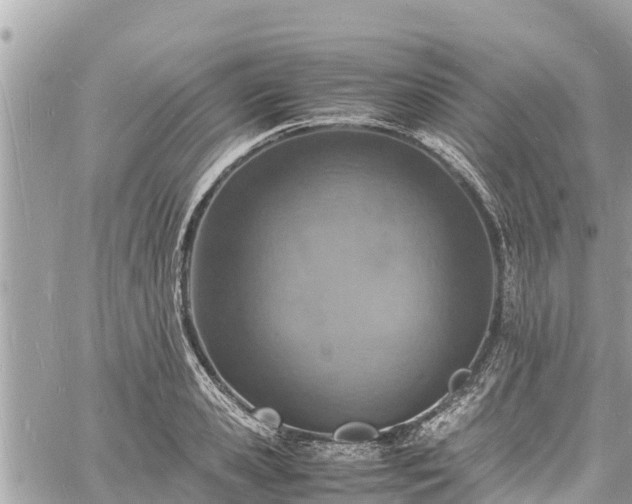 X0000060770941200511141254