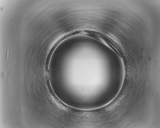 X0000060770942200511141254