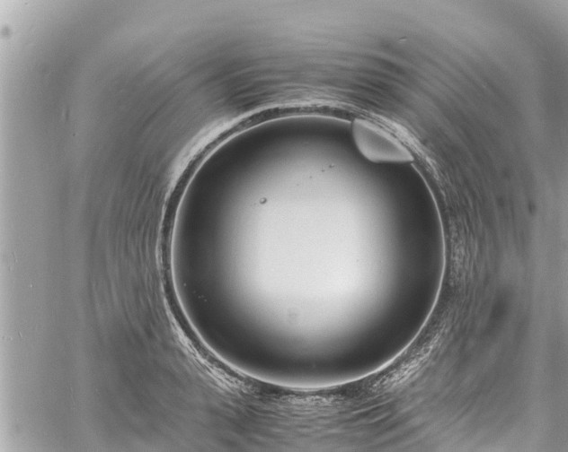 X0000060770943200511141254