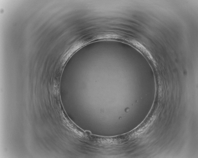 X0000060770945200511141254