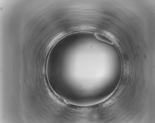 X0000060770946200511141254