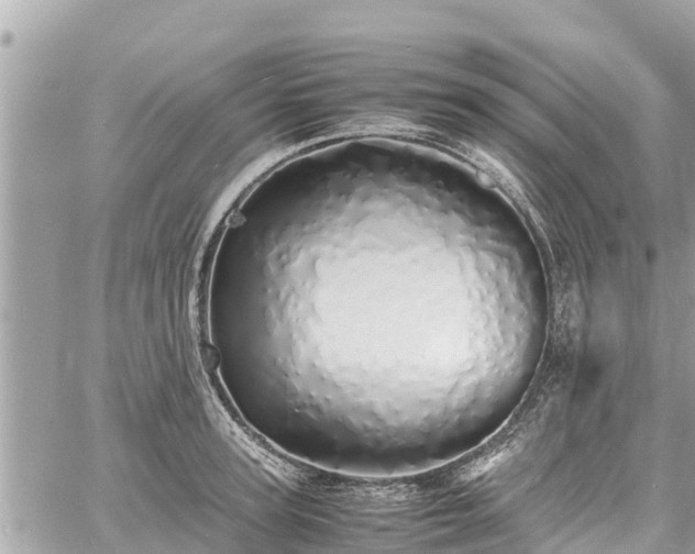 X0000060770947200511141254