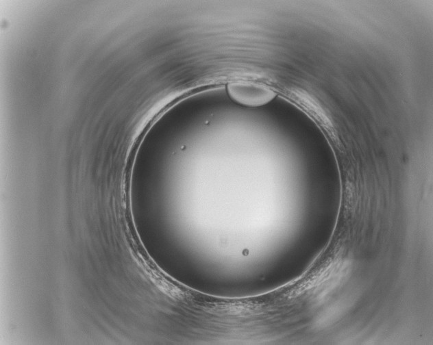 X0000060770948200511141254