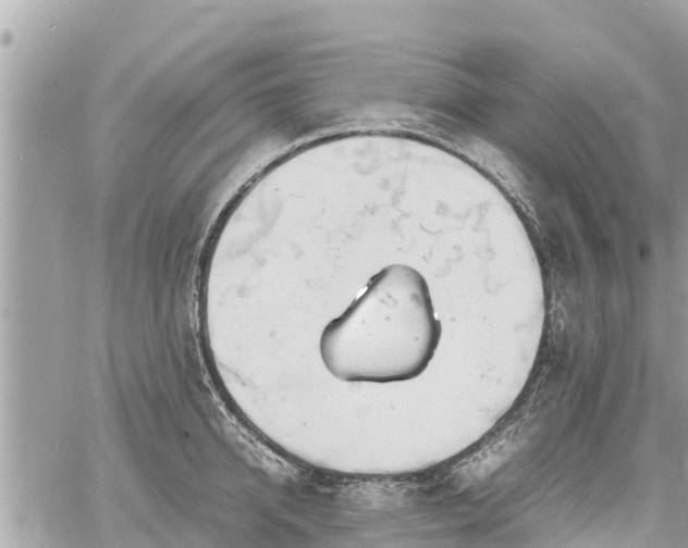 X0000060770950200511141254