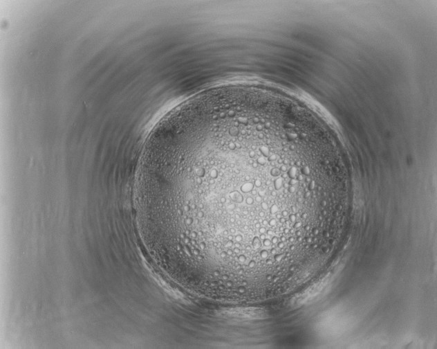 X0000060770953200511141254