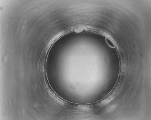 X0000060770954200511141254