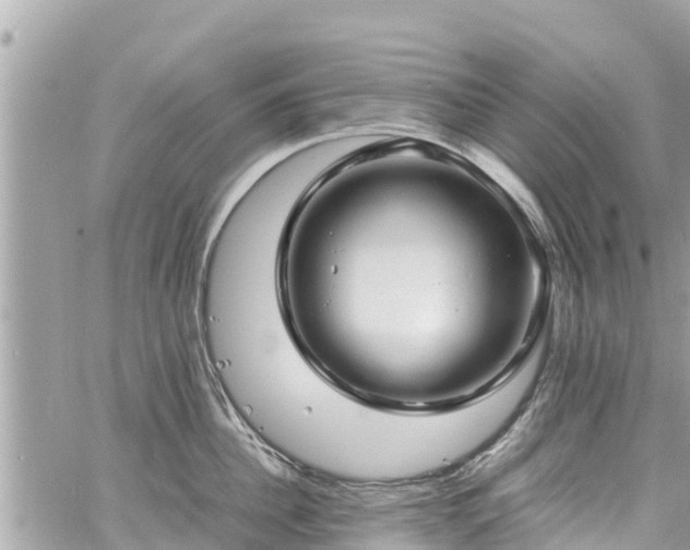 X0000060770956200511141254