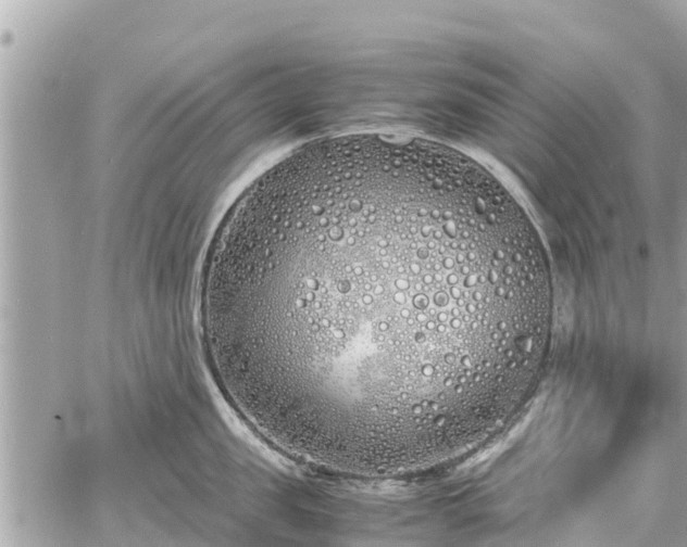 X0000060770957200511141254