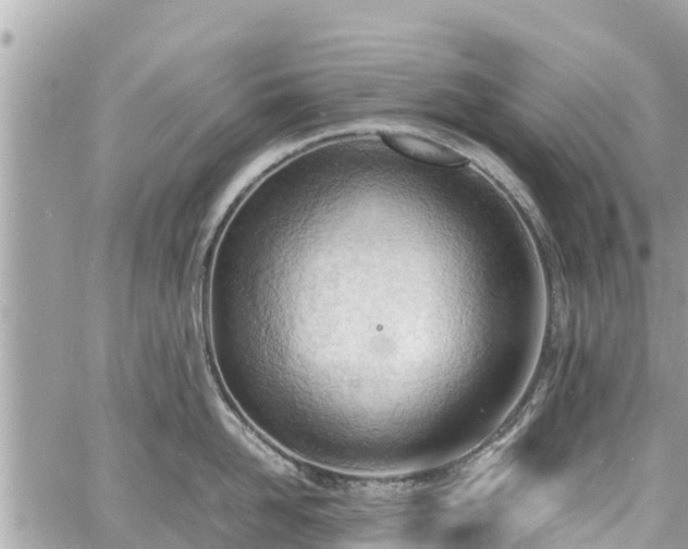 X0000060770958200511141254